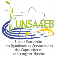 Logo_Unsaaeb