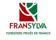 logo fransylva
